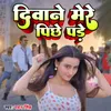 About Diwane Mere Piche Pade Song